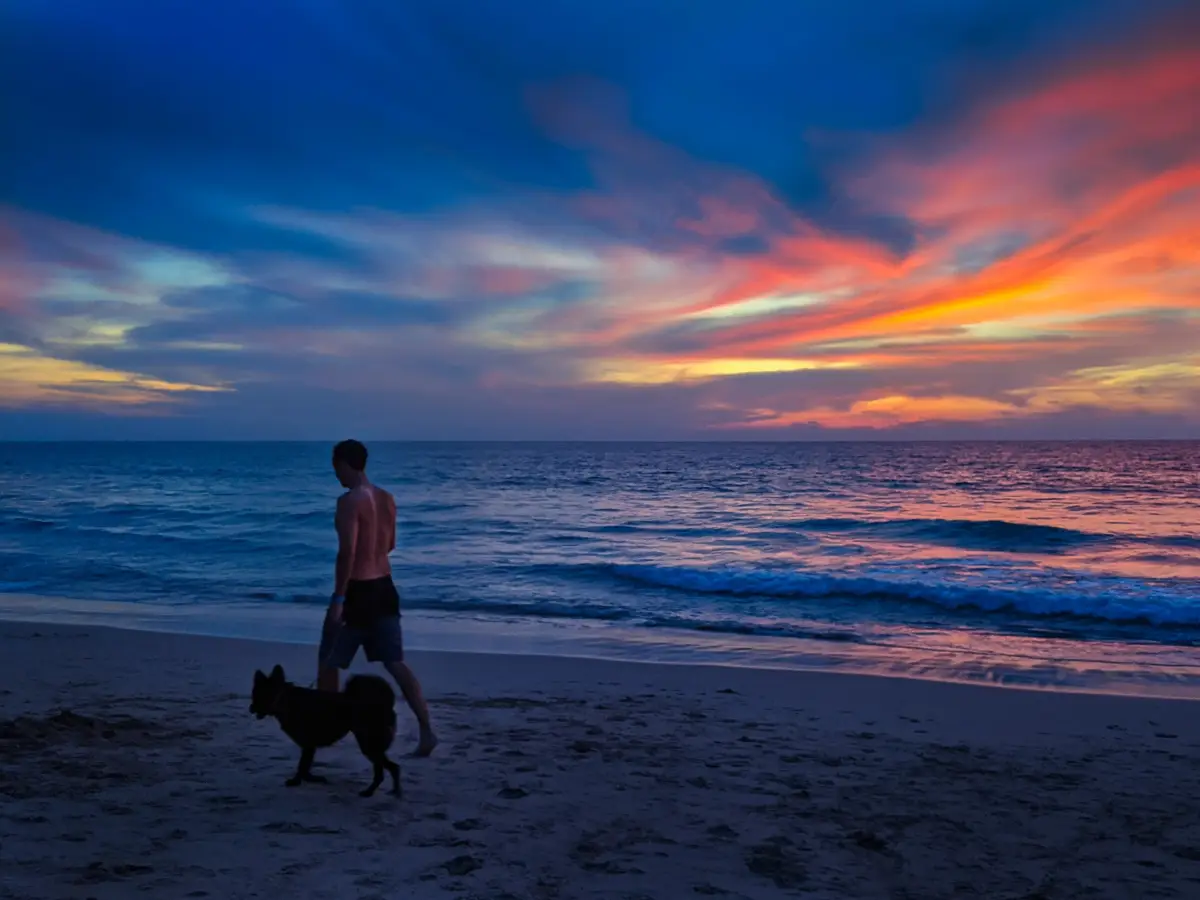 10 Must-See Things In Phuket (2026 Edition)