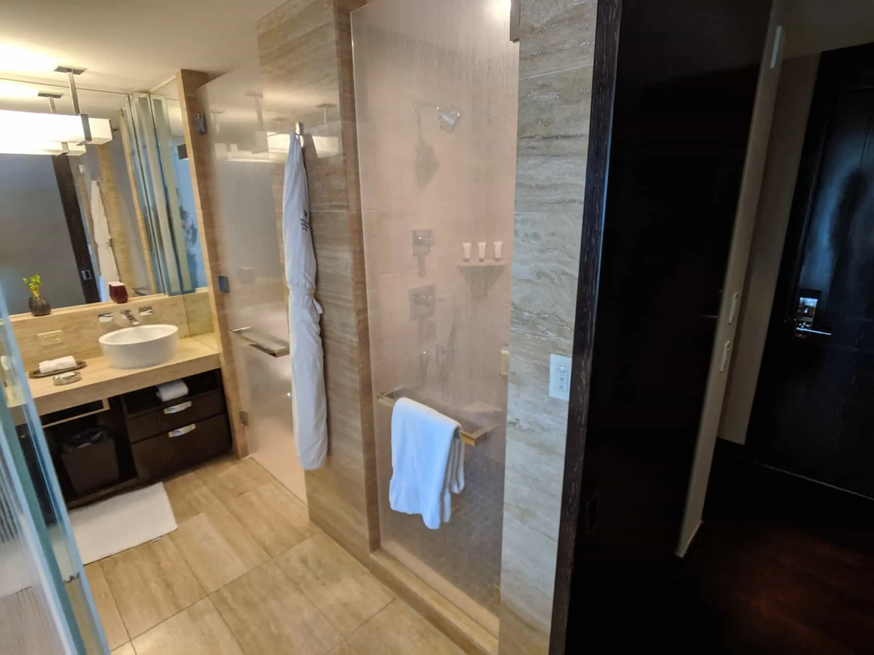 Waldorf Astoria Las Vegas City View Room 005